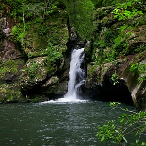 Potoroo Falls, NSW_1