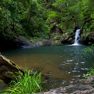 Potoroo Falls, NSW_2