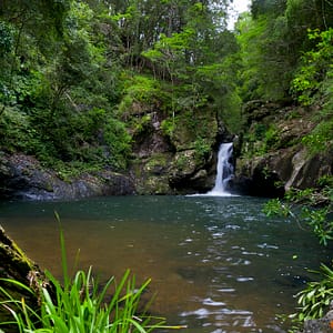 Potoroo Falls, NSW_3