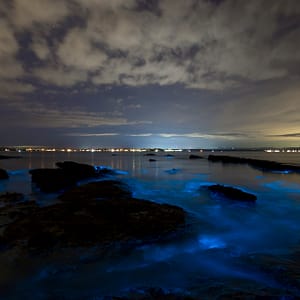 Vincentia, NSW