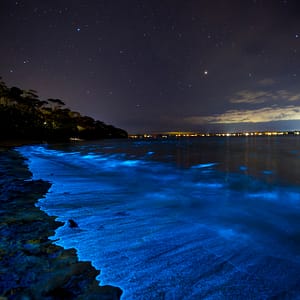 Vincentia, NSW
