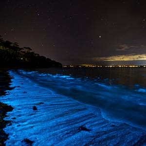 Vincentia, NSW