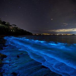 Vincentia, NSW