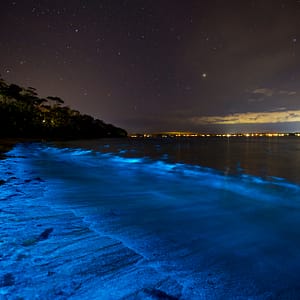 Vincentia, NSW