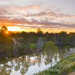 Narrabri, NSW