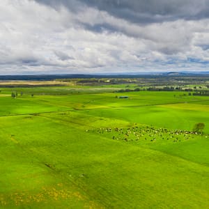 Nowra, NSW