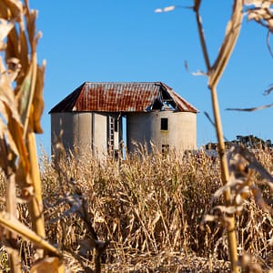 Bolong, NSW