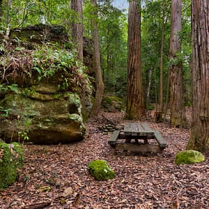 Jerrawangala NSW