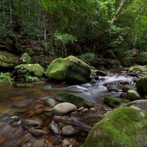 Nowra, NSW