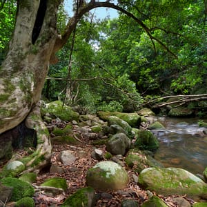 Nowra, NSW