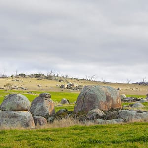 Cooma, NSW