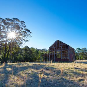 East Lynne, NSW