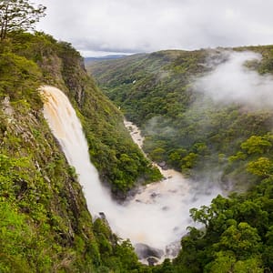 Elands, NSW