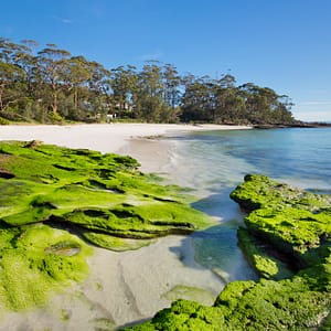 Hyams Beach, NSW