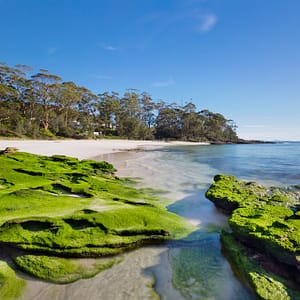 Hyams Beach, NSW