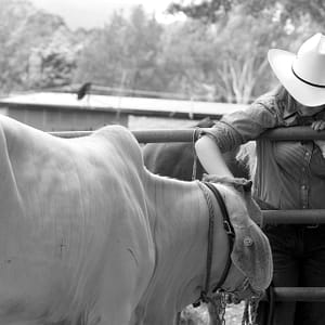 Kangaroo Valley, NSW