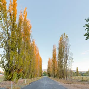 Tumut, NSW