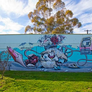 Moree, NSW