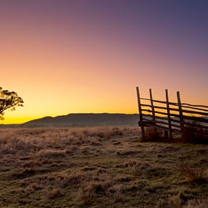 Mudgee, NSW