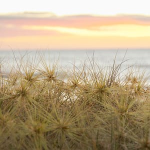 Tuross Head, NSW