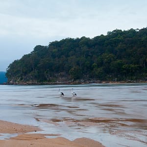 Patonga, NSW