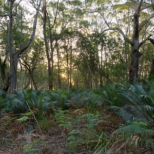 Shoalhaven Heads, NSW