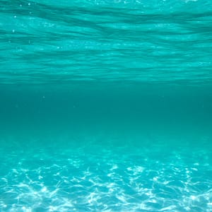 Hyams Beach, NSW