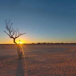Camerons Corner, QLD