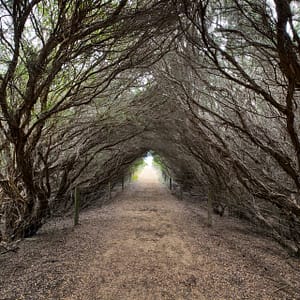 Phillip Island, VIC