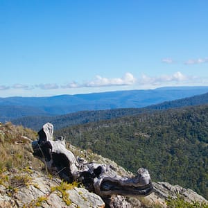 Miowera, VIC