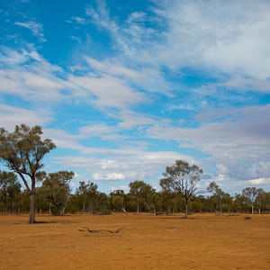 Thallon, QLD