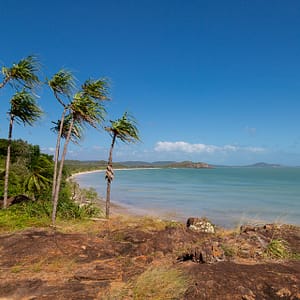 Cape York Peninsula, FNQ