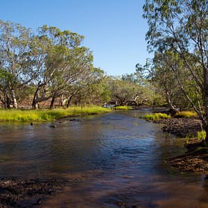 Hahn River, Lakefield FNQ