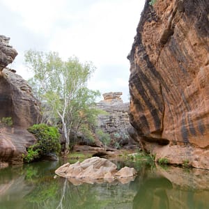 Cape York Peninsula, FNQ