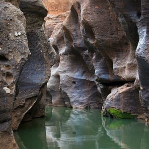 Cape York Peninsula, FNQ