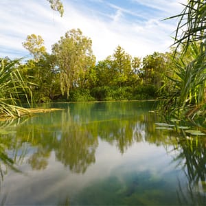 Lawn Hill, North West Queensland