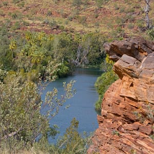 Lawn Hill, North West Queensland
