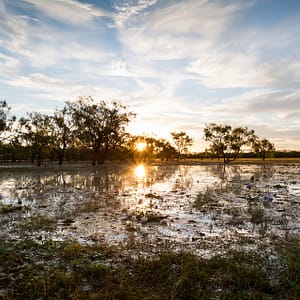 Leichhardt Lagoon, Normanton, FNQ