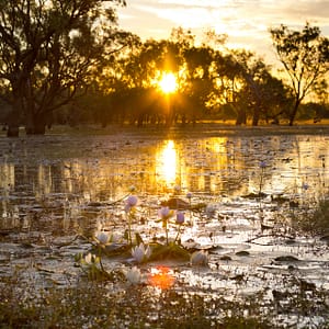 Leichhardt Lagoon, Normanton, FNQ