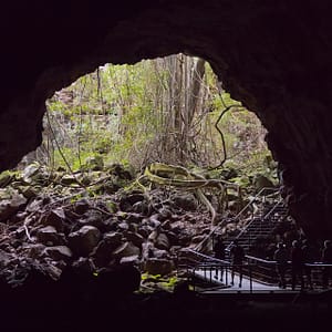 Undara Lava Tubes, FNQ