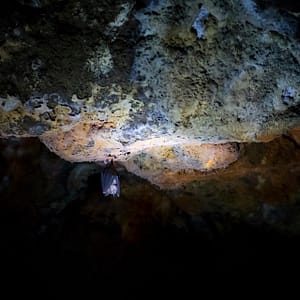 Undara Lava Tubes, FNQ