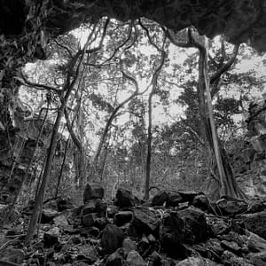 Undara Lava Tubes, FNQ
