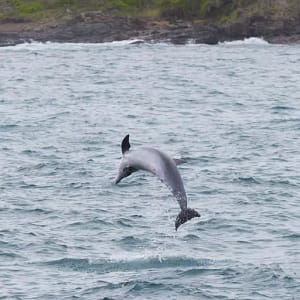 Kendalls Beach, Kiama