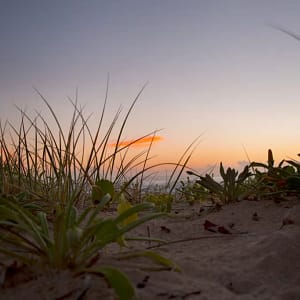 Jones Beach, Kiama Downs
