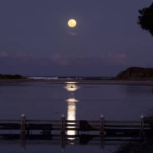 Minnamurra River