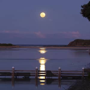 Minnamurra River