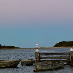 Minnamurra River