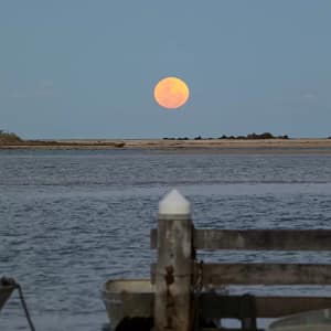 Minnamurra River