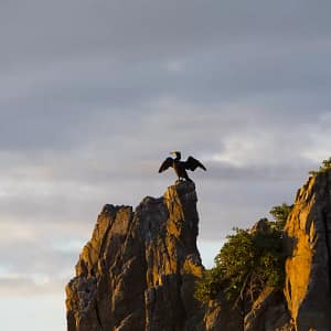 Cathedral Rocks, Kiama Downs