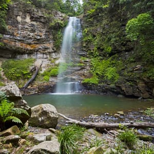 Clover Hill Falls, Macquarie Pass